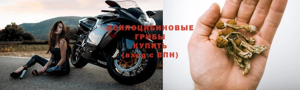 прущая мука Нея