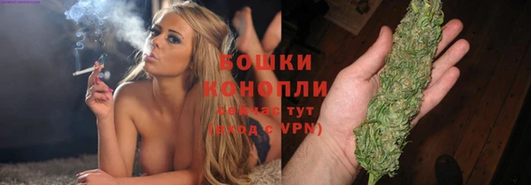 прущая мука Нея