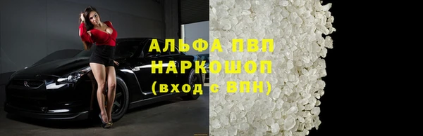 гидра Новозыбков