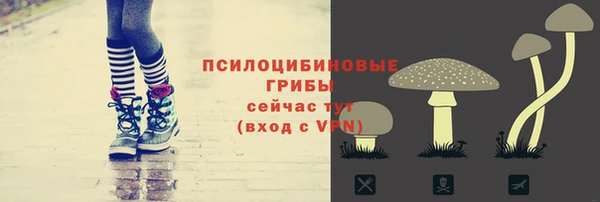 альфа пвп Новодвинск