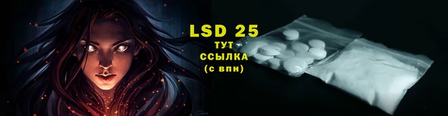 гидра Новозыбков