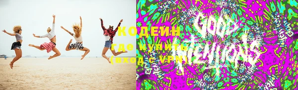 альфа пвп Новодвинск