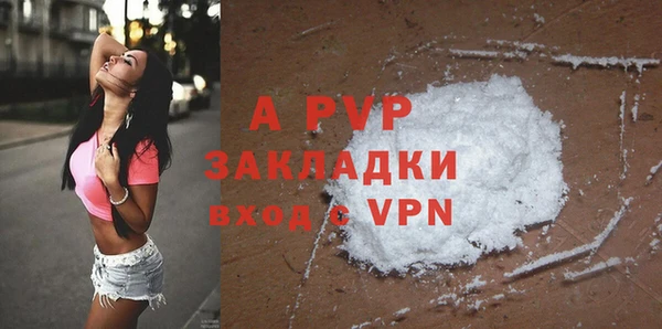 гидра Новозыбков