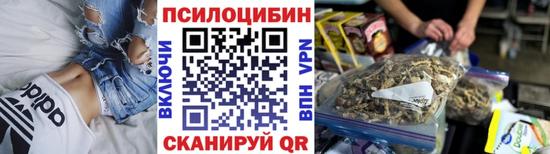 Псилоцибиновые грибы Psilocybe где найти Котельнич