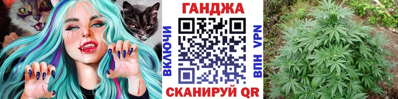 ссылка на мегу ССЫЛКА  магазин продажи наркотиков  мориарти Telegram  Бошки марихуана SATIVA & INDICA  Котельнич 